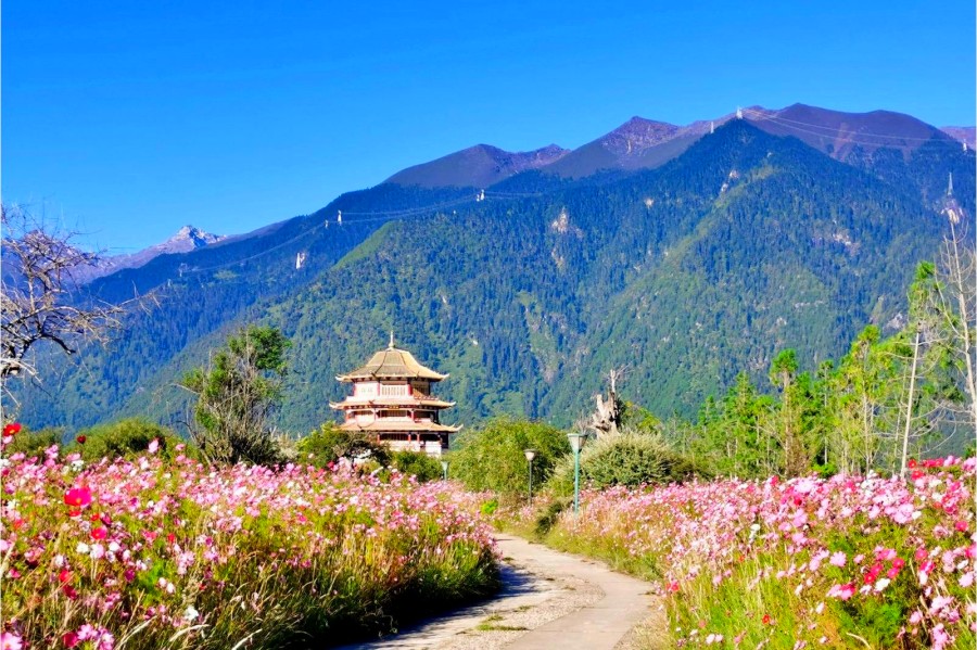A scenic view of tibet museum