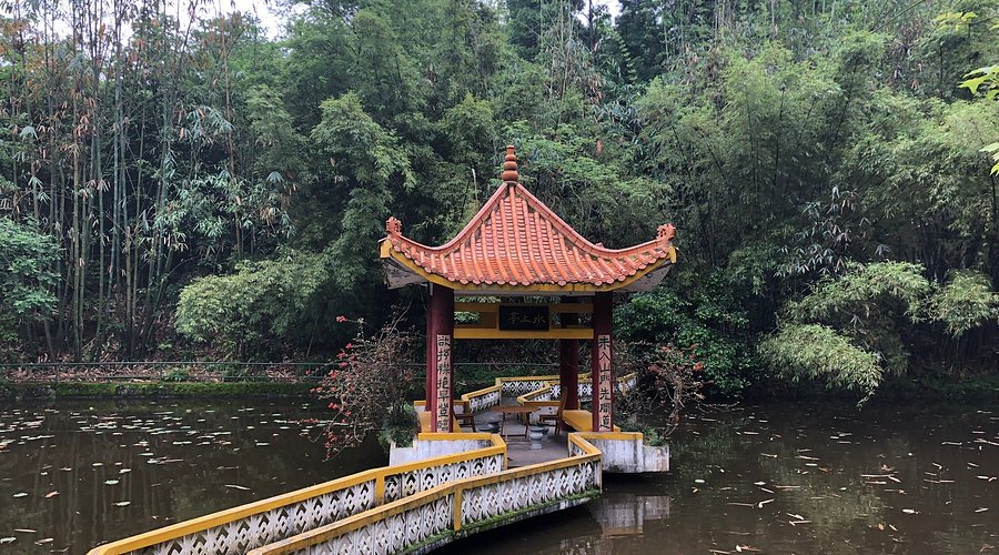 A scenic view of Tongtianyan Grottoes