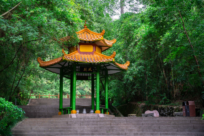 A scenic view of Tongtianyan Grottoes