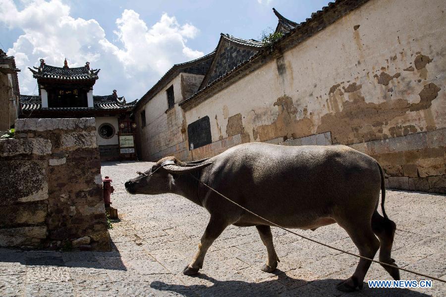 A scenic view of tuanshan village
