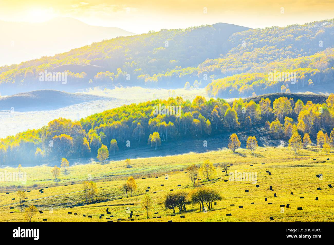 A scenic view of ulan_butong_grassland