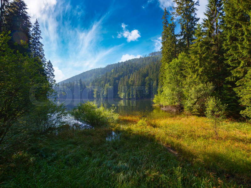 A scenic view of unit_731_former_site