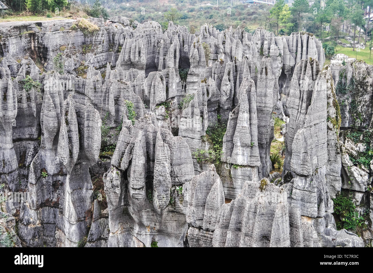 A scenic view of wansheng_stone_forest