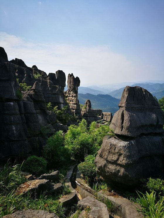 Wansheng Stone Forest: A Hidden Gem for Adventurers and Nature Lovers