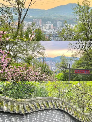 Experience Nature and Heritage at Wanyuan Red Army Park: A Unique Travel Guide