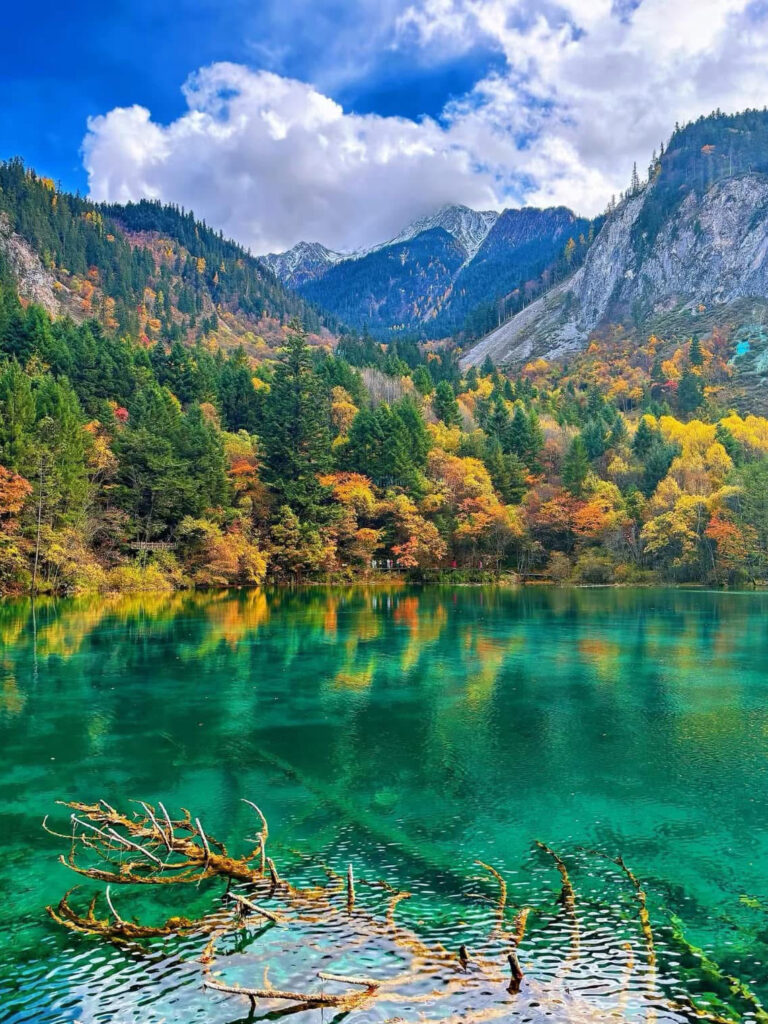 A Guide to Wudangzhao Heritage: Must-See Attractions and Local Experiences