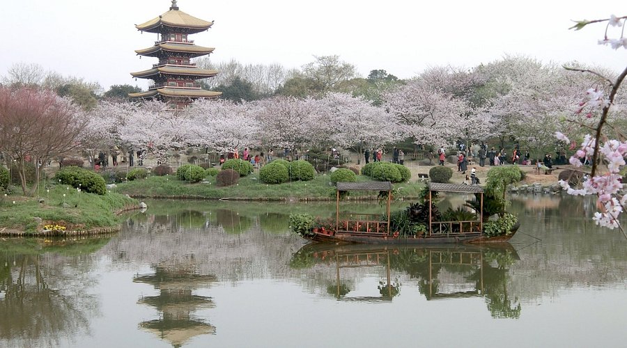 A scenic view of Wuhan East Lake