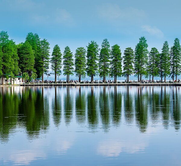 A scenic view of Wuhan East Lake