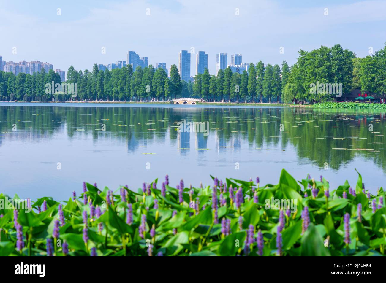 A scenic view of Wuhan East Lake