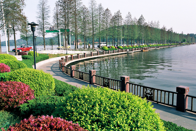 Photography at Wuhan East Lake: Capturing the Beauty of Nature
