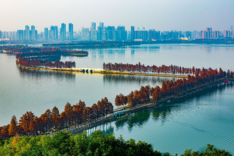 A scenic view of Wuhan East Lake