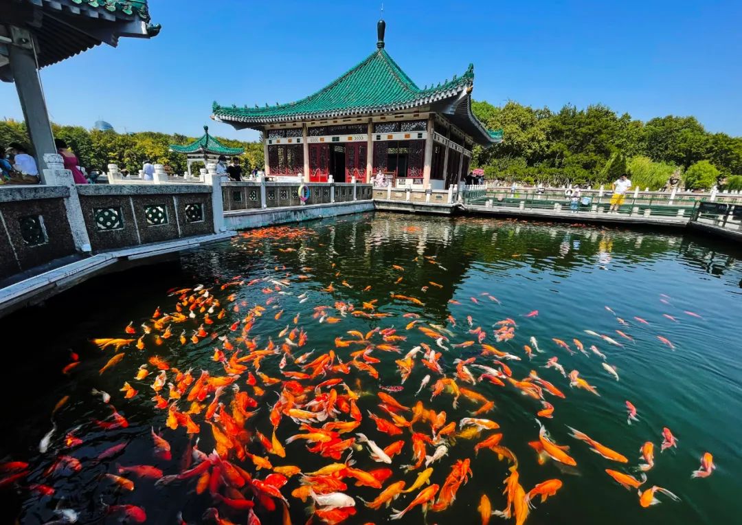 A scenic view of Wuhan National Government Site