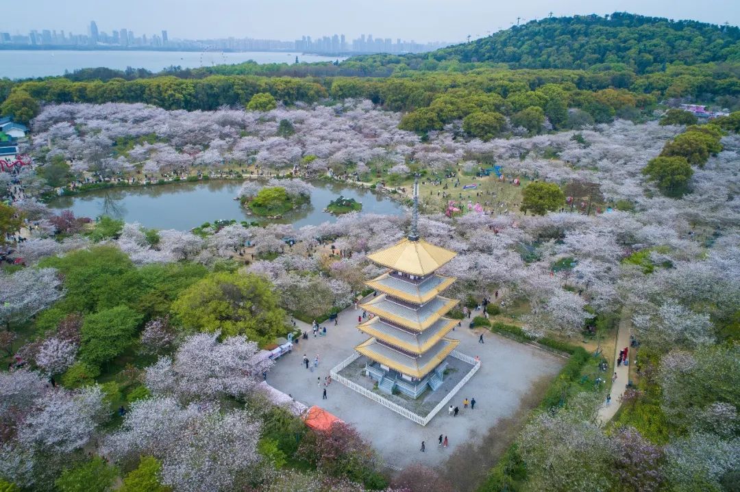 A scenic view of Wuhan National Government Site