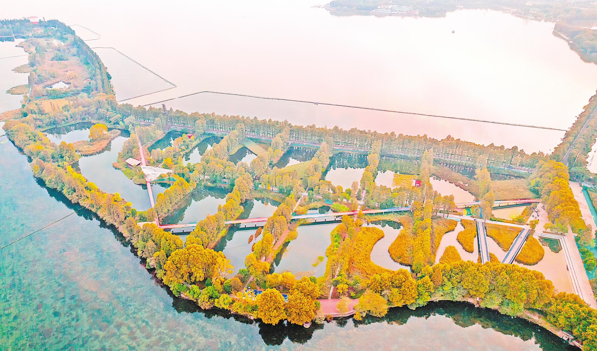 A scenic view of Wuhan National Government Site