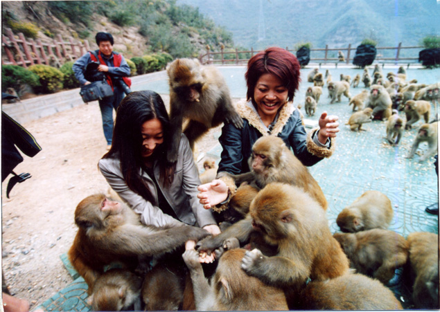 Discover the Wonders of Wulongkou Macaque Reserve: A Nature Lover’s Paradise