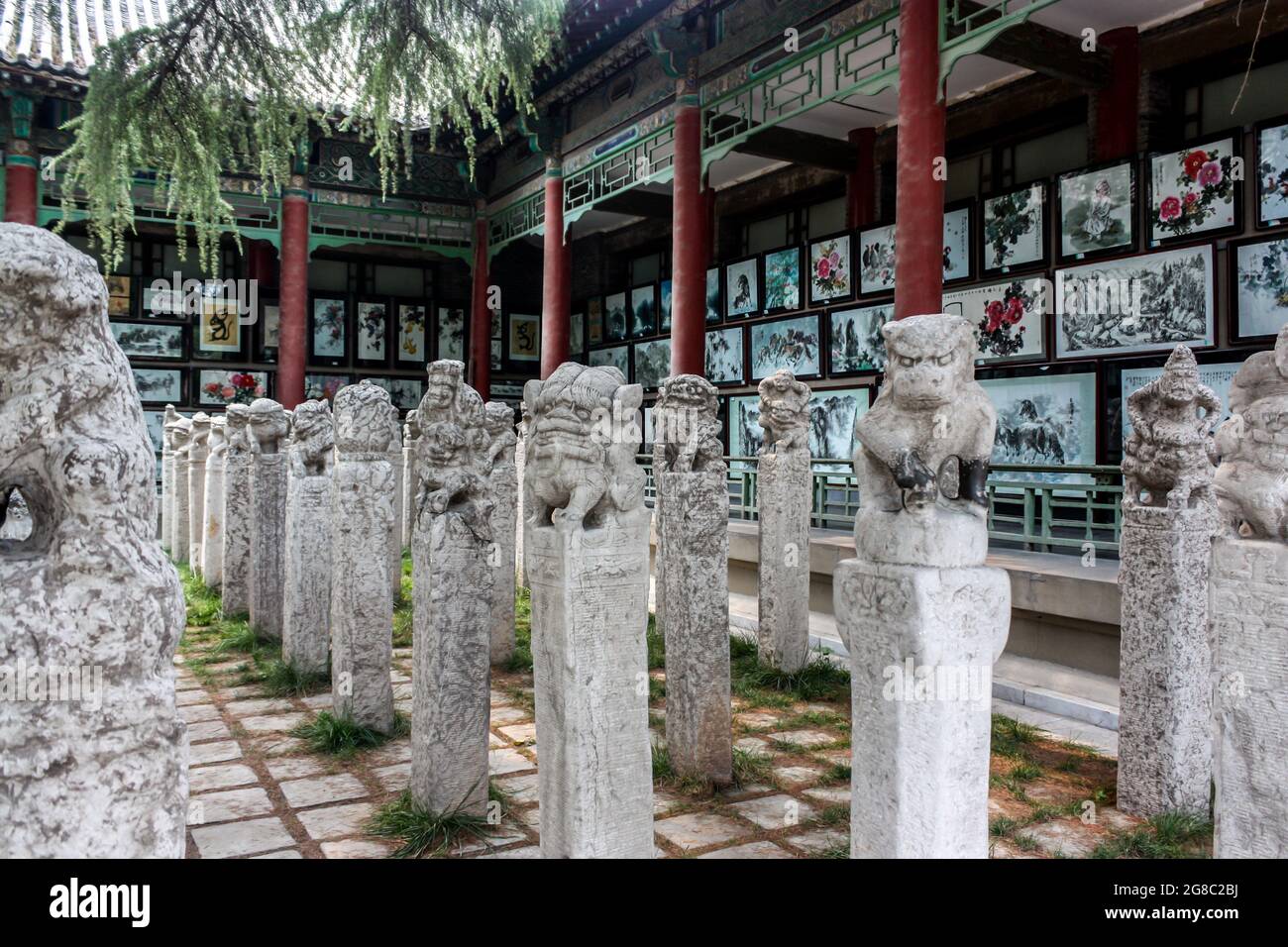 A scenic view of xian_forest_of_steles