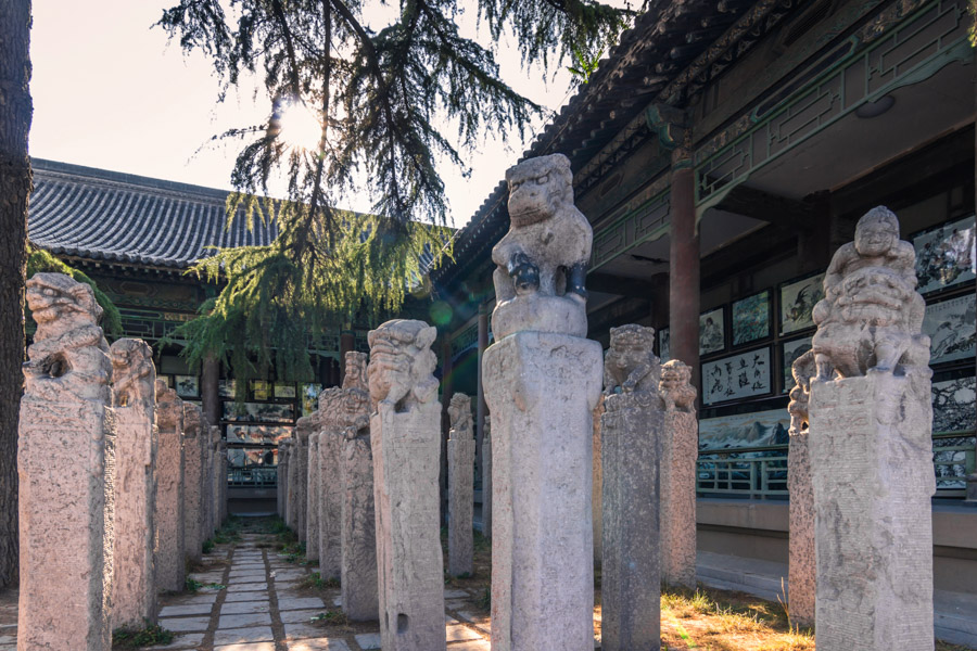 A scenic view of xian_forest_of_steles