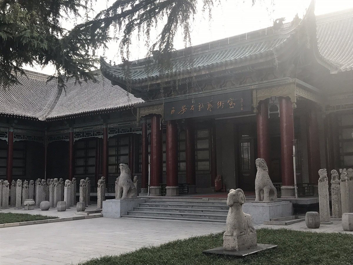 A scenic view of xian_forest_of_steles