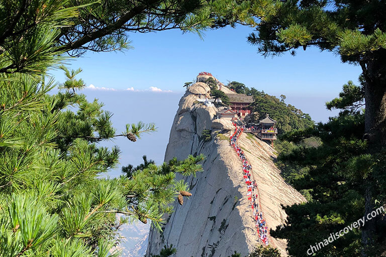 A scenic view of xian_forest_of_steles