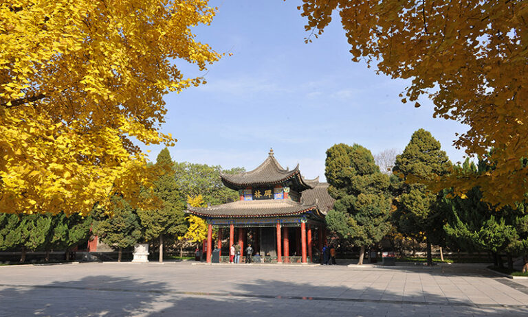 Step Into History: The Fascinating Forest of Steeles in Xi’an