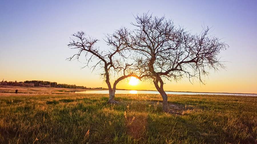 Wildlife Wonders: Your Adventure Awaits at Xianghai National Nature Reserve