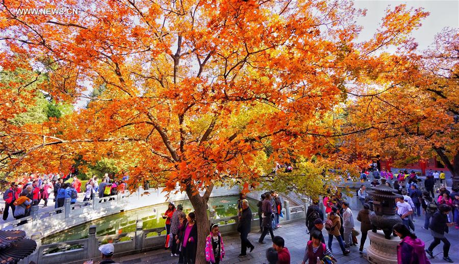A scenic view of xiangshan park