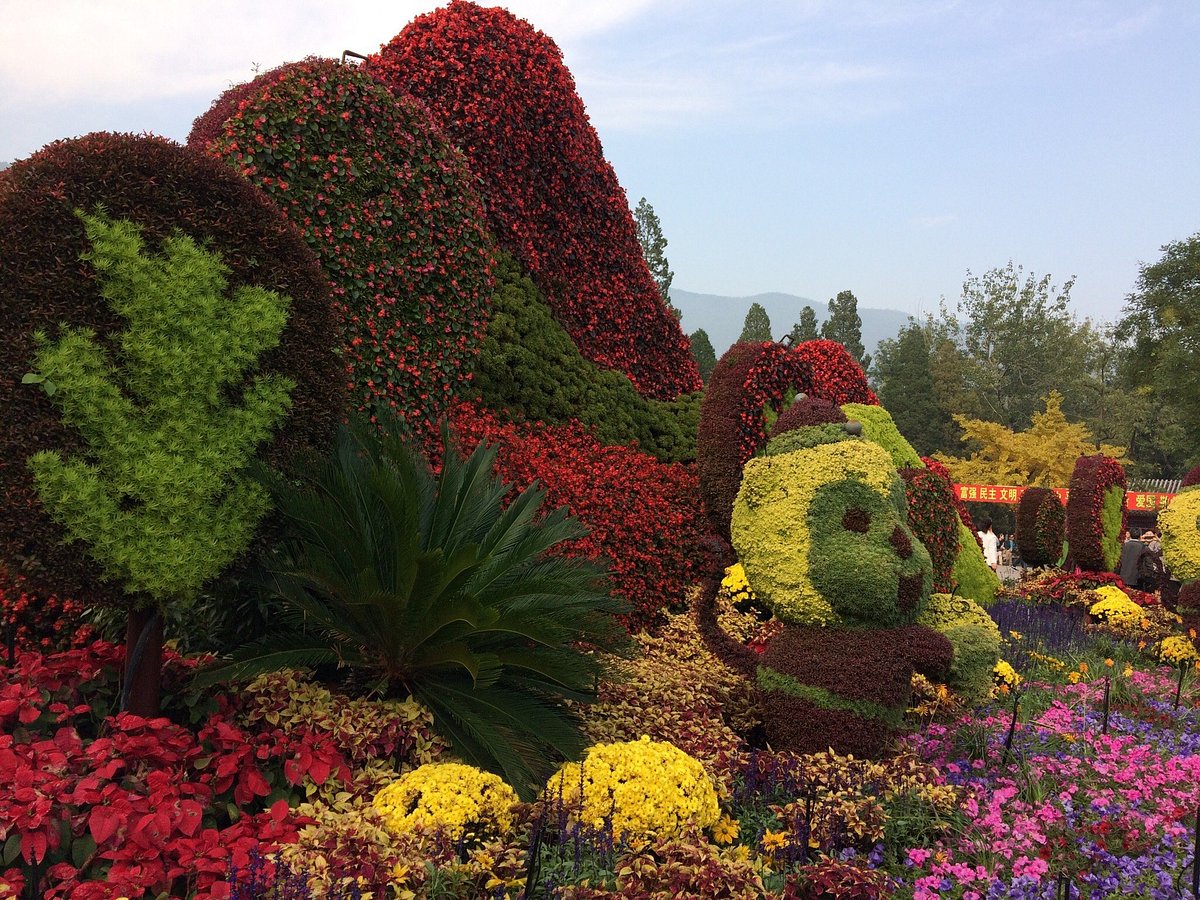 A scenic view of xiangshan park
