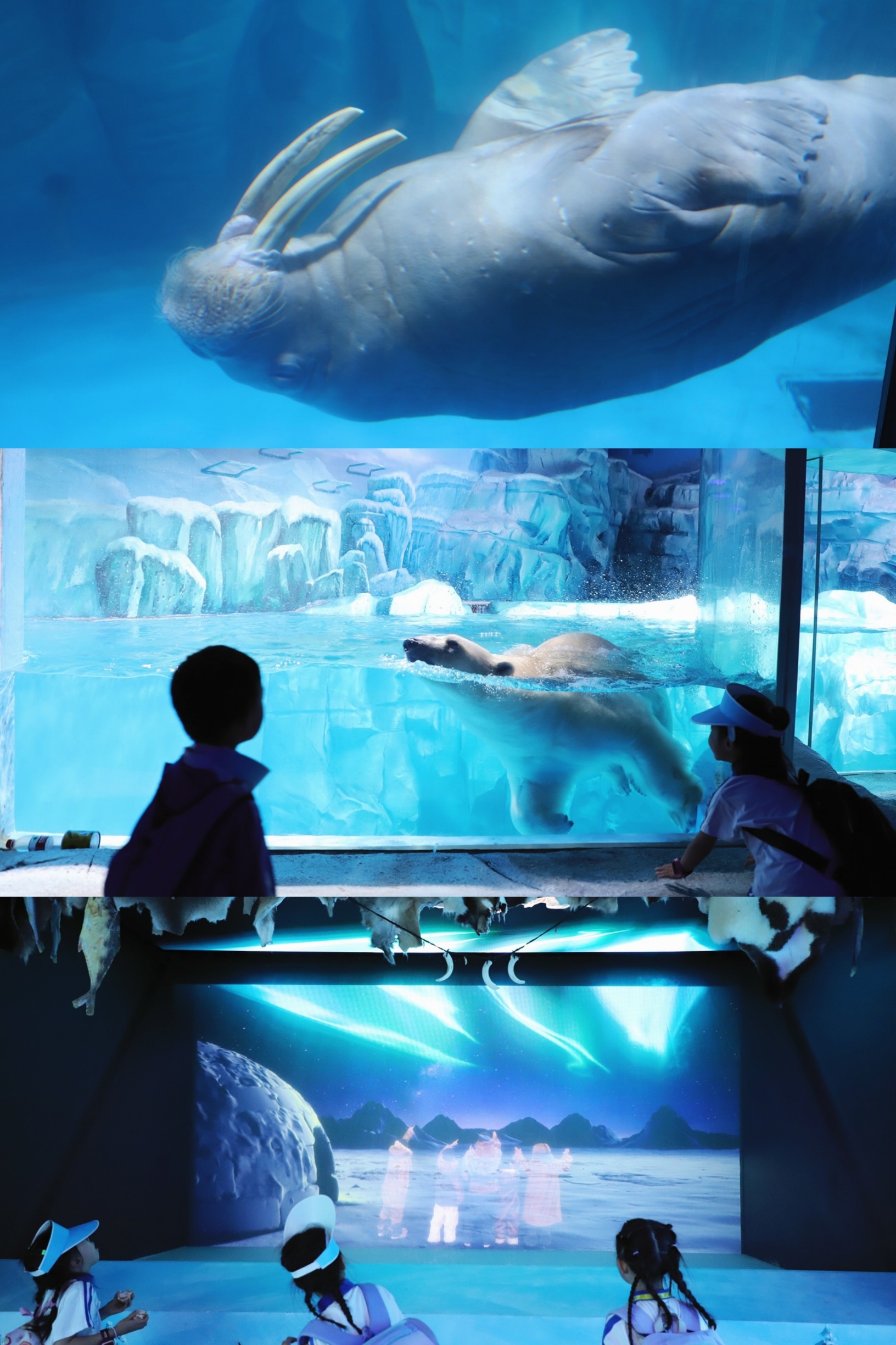 A scenic view of xiaomeisha sea world