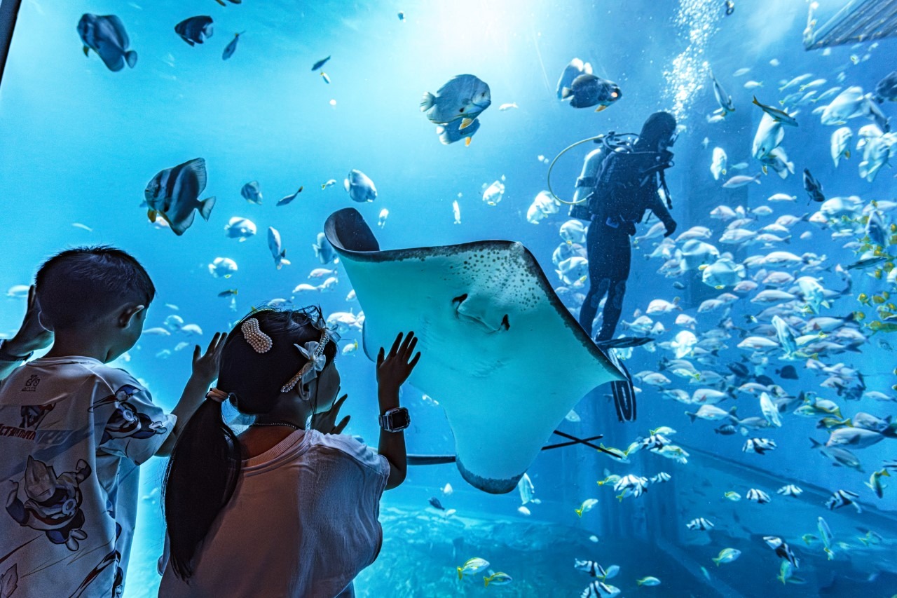 A scenic view of xiaomeisha sea world