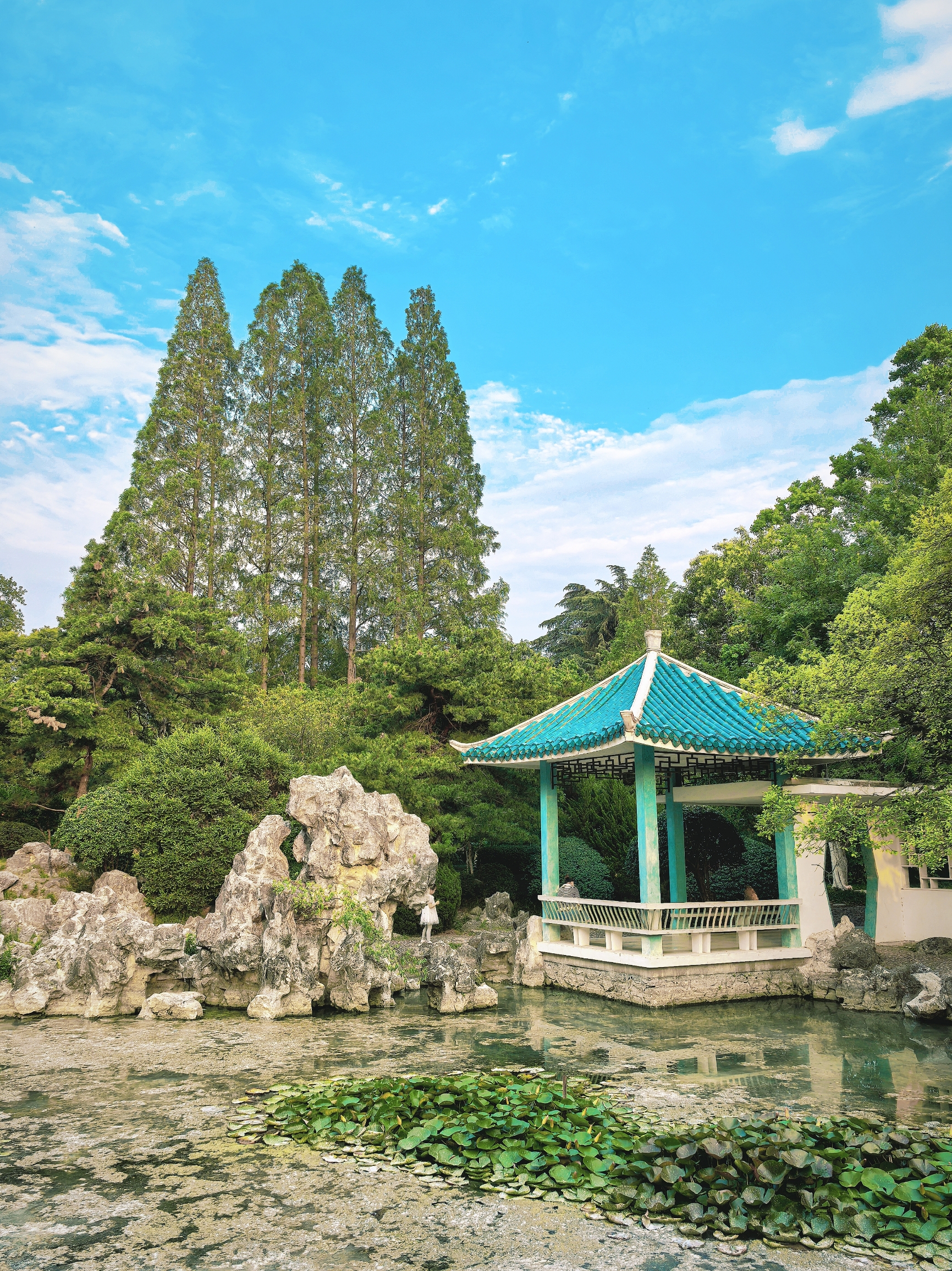 A scenic view of Xiaoyao Jin And Huchun Garden