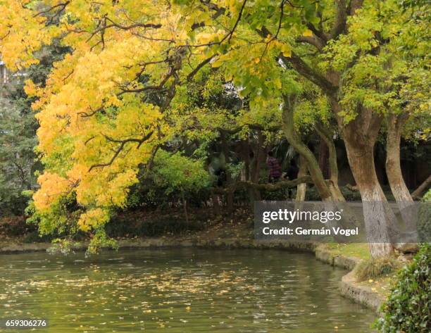 A scenic view of xiaoyaojin park
