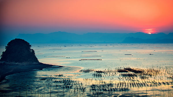 A scenic view of xiapu mudflat