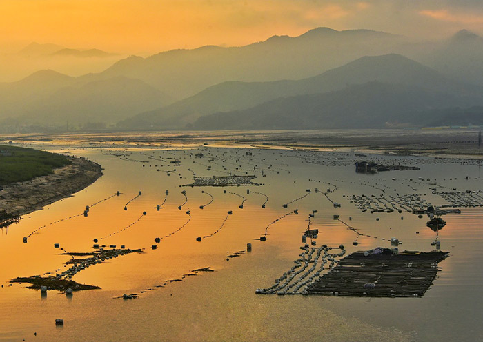 A scenic view of xiapu mudflat