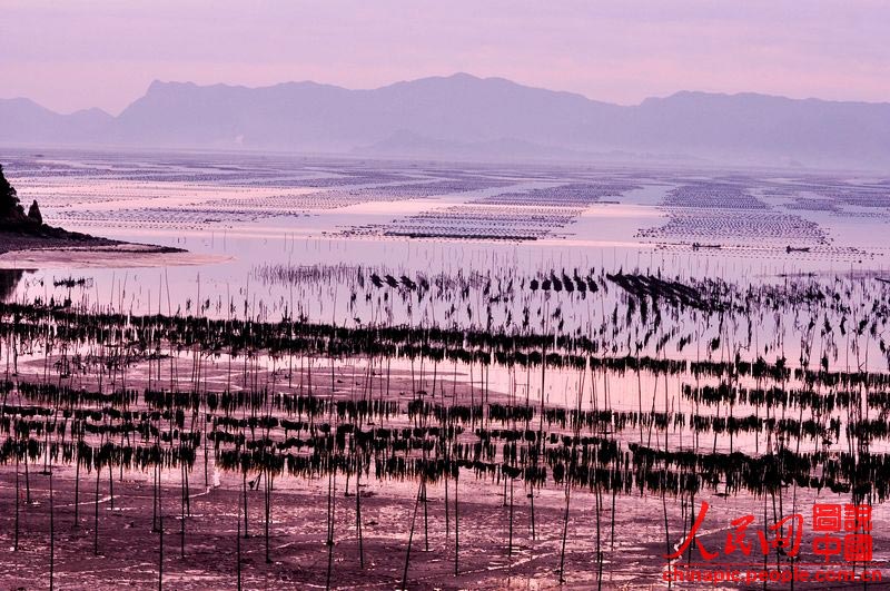 A scenic view of xiapu mudflat