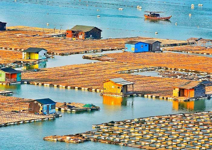 A scenic view of xiapu mudflat
