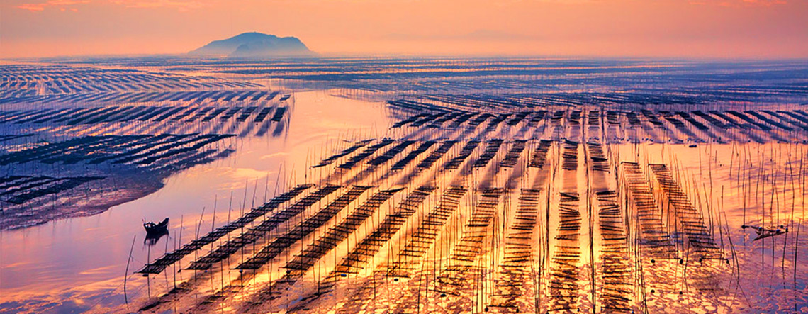 A scenic view of xiapu mudflat