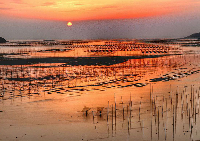 Xiapu Mudflat: A Photographer’s Dream Destination Awaits