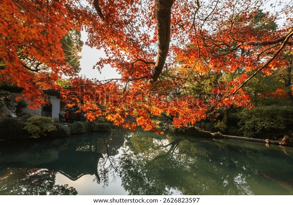 Discover the Magic of Xihui Park: A Must-Visit Oasis in Wuxi, China