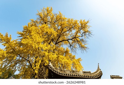 A scenic view of xihui park