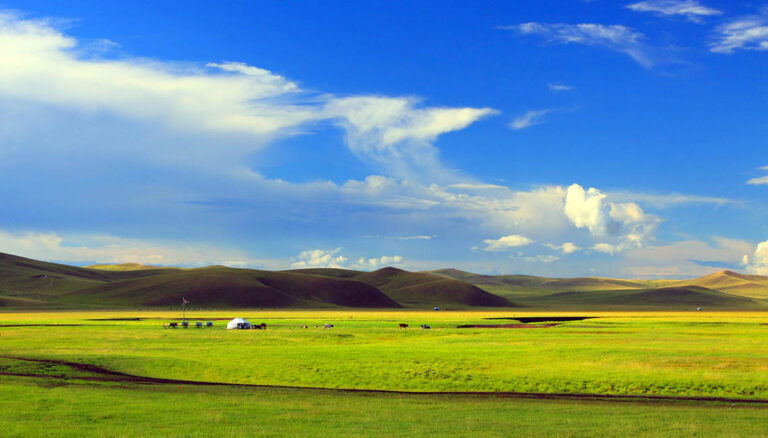 Uncover the Cultural Richness of Xilamuren Grassland: A Journey to Remember