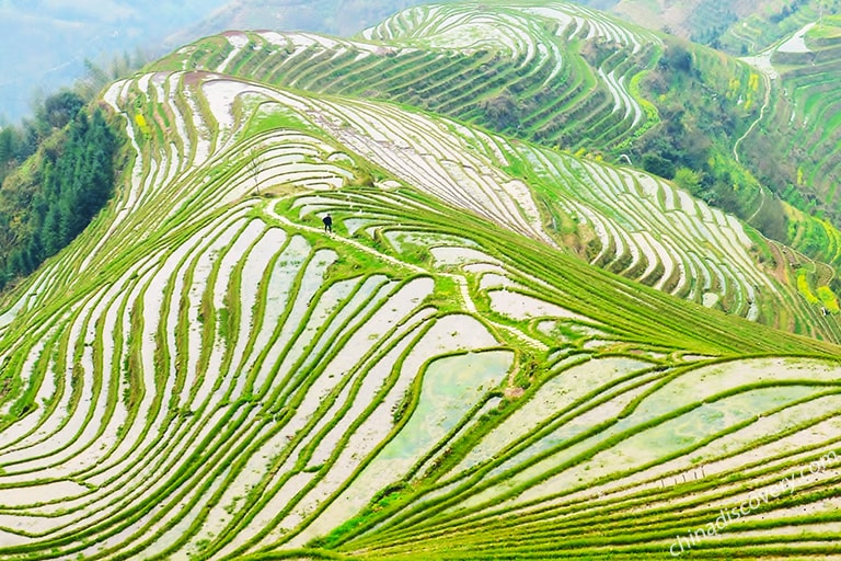 A scenic view of xing'an lingqu ancient canal