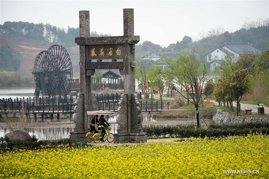 Xinghua Village: Where Tradition Meets Tranquility