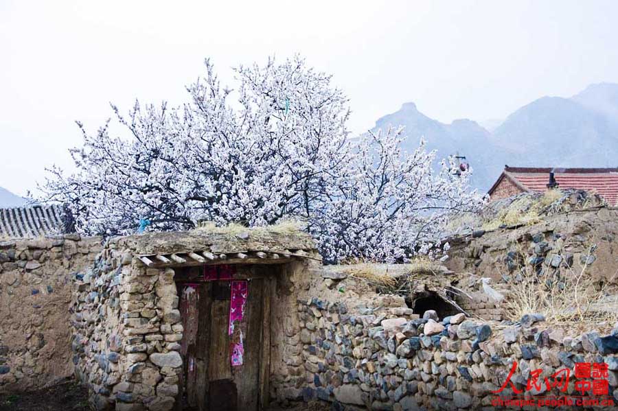 A scenic view of xinghua village