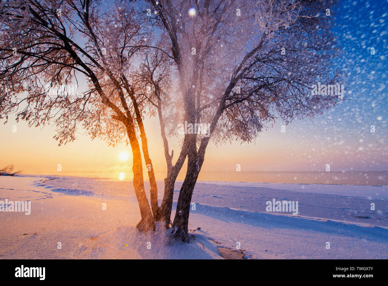 A scenic view of xingkai_lake