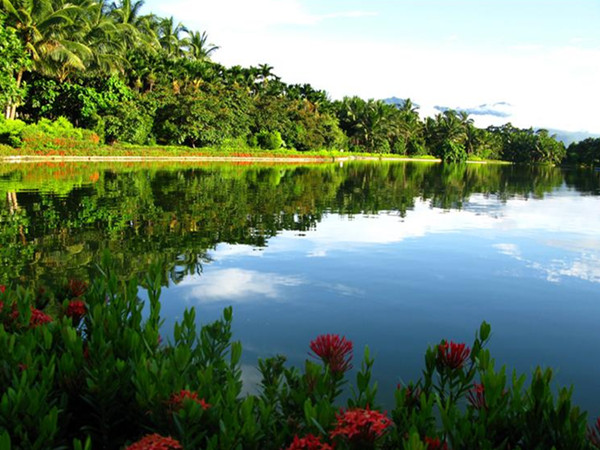 Experience Tranquility at Xinglong Tropical Botanical Garden: A Journey Through Nature