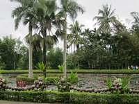 A scenic view of xinglong_tropical_botanical_garden