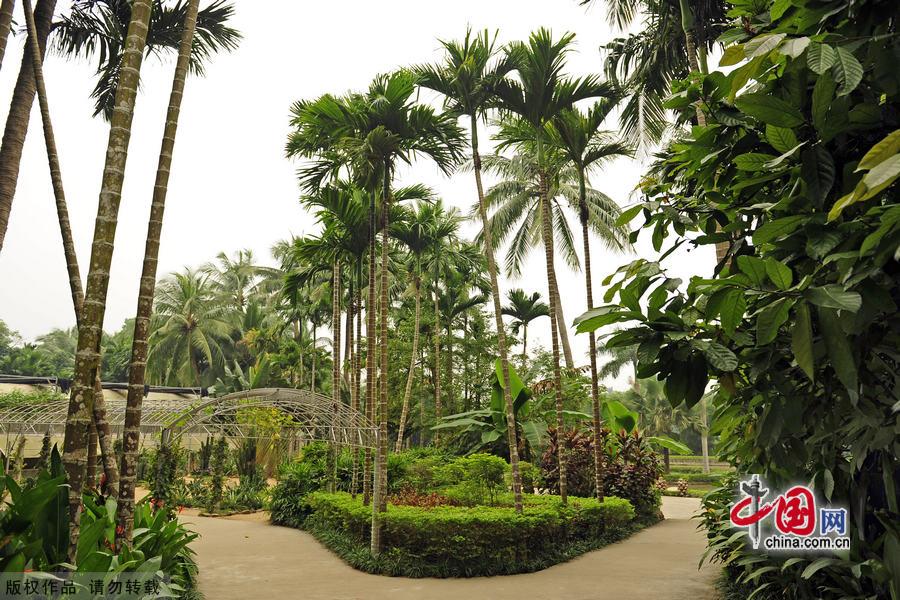 A scenic view of xinglong_tropical_botanical_garden