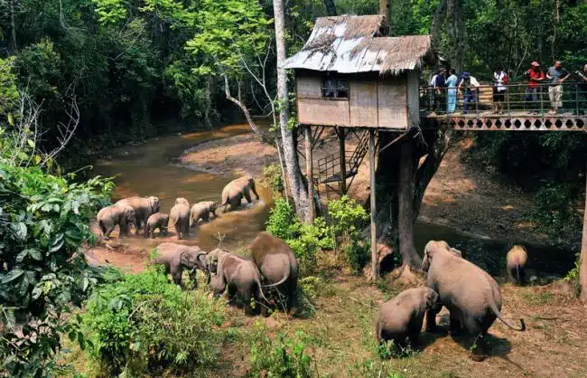 A scenic view of xishuangbanna wild elephant valley