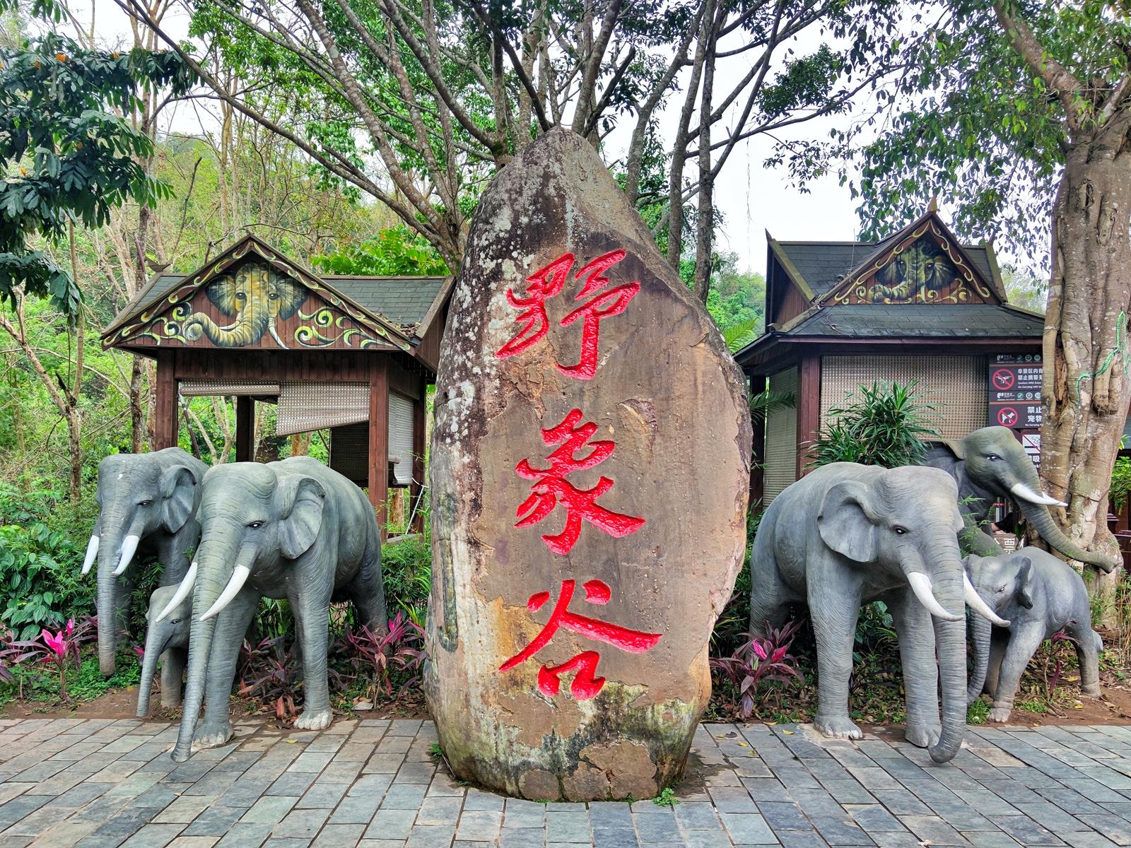 A scenic view of xishuangbanna wild elephant valley