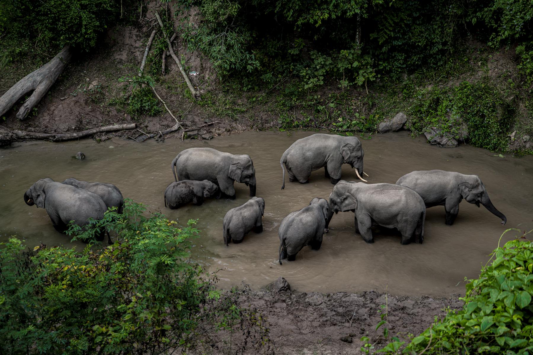 A scenic view of xishuangbanna wild elephant valley